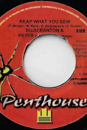 Reap What You Sew / Penthouse Mix New Release