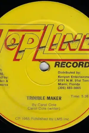 Worldwide Shipping Trouble Maker / Trouble Dub