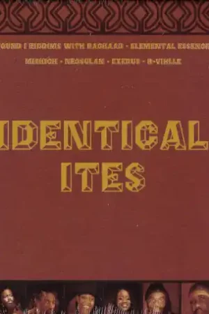Budget Identical Ites