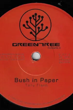 Bush In Paper / Ver Seasonal Sale