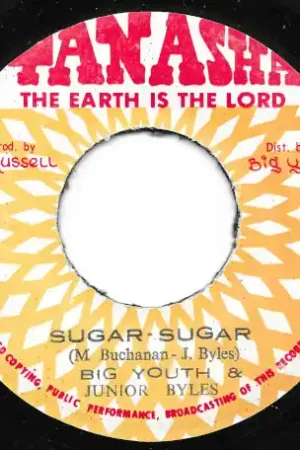 Modern Sugar Sugar / The Wise Sheep Ver