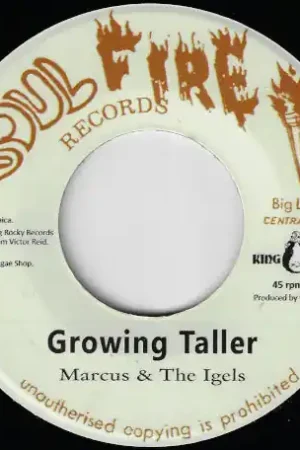 Fresh Stock Growing Taller / Studio Works Ver