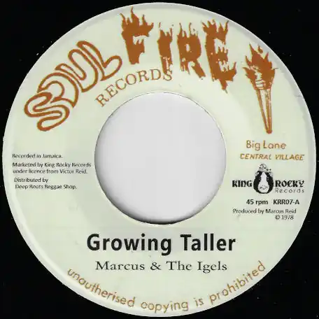 Fresh Stock Growing Taller / Studio Works Ver