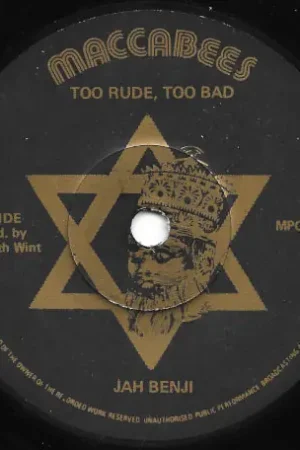 Too Rude Too Bad / Rude Dub Fast Shipping