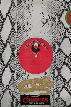 DISCO MEDLEY Its You / Boderation Oh / My New Name / Mule Train / Pick Best Choice