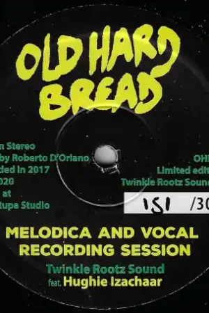 Popular Melodica And Vocal Recording Session / Dubmix 04 06feb20