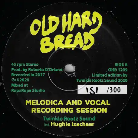 Popular Melodica And Vocal Recording Session / Dubmix 04 06feb20