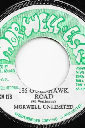 Professional Grade Trod Along / 186 Goldhawk Road Dub