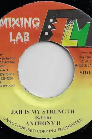 Jah Is My Strength / Warning Ver Today Only