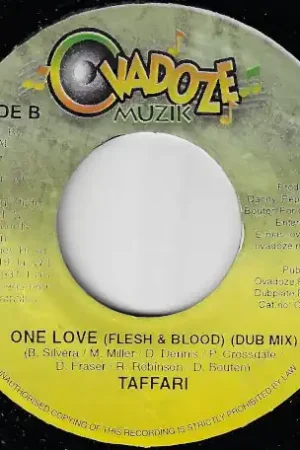 One Love (Flesh And Blood) / Dub Mix Fast Shipping