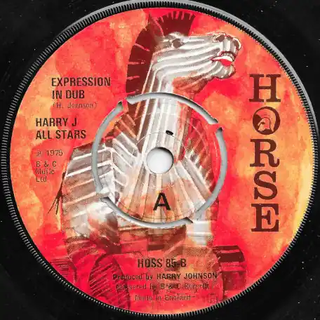 Expression In Dub / Skank Indigo Secure Checkout