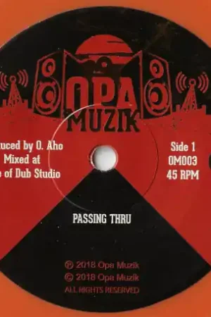 Shop Now Passing Thru / Passing Dub