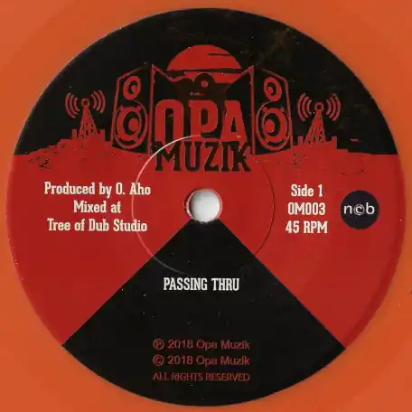 Shop Now Passing Thru / Passing Dub