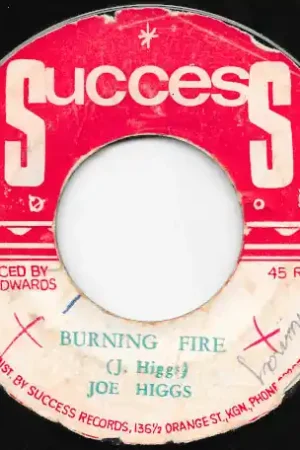 Free Shipping Burning Fire / Fire Burn Ver