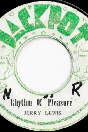 Flash Sale Rhythm Of Pleasure / Dr Seaton