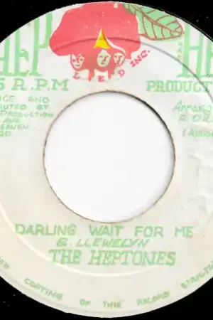 Last Chance Darling Wait For Me / Ver