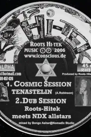 Cosmic Session / Dub session / Mother's Song / Dub Mama Free Shipping