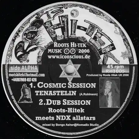 Cosmic Session / Dub session / Mother's Song / Dub Mama Free Shipping