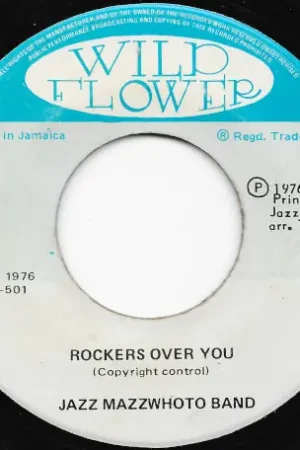 Fresh Stock Worried Over You / Rockers Over You