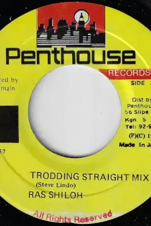 Buy Today Trodding Straight Mix / Trodding Dub Mix