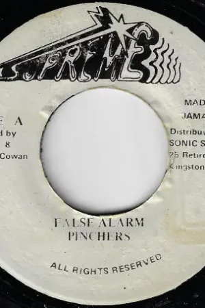 Best Seller False Alarm / Ver