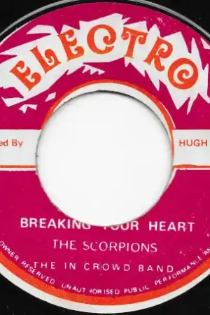 Sale Breaking Your Heart / Ver