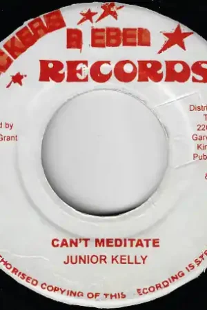 Warranty Included Can't Meditate / Ver