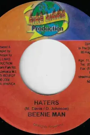 Haters / Mad Instrument Riddim Seasonal Sale