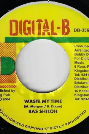 Top Rated Waste My Time / Gully Gully Ver