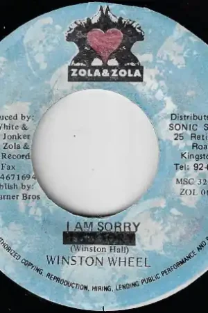 Viral I Am Sorry / Ver