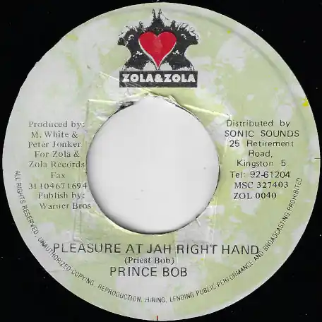 Worldwide Shipping Pleasure At Jah Right Hand / Ver