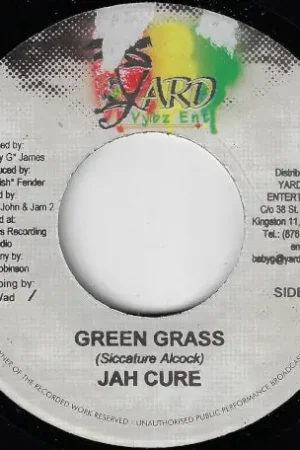 Buy Today Green Grass / Mission Ver