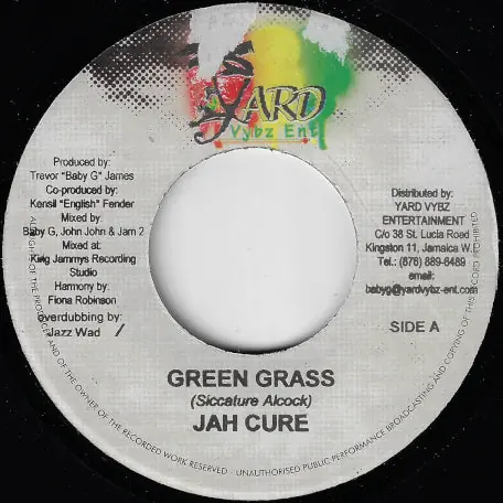 Buy Today Green Grass / Mission Ver
