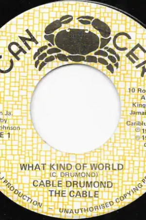 Budget What Kind Of World / World Dub