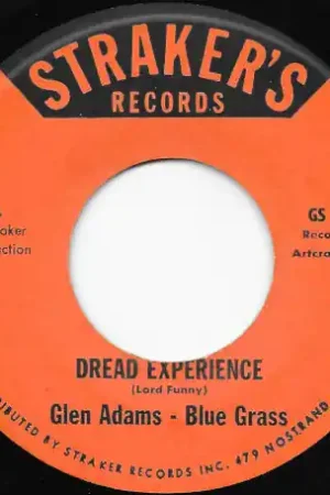 Next Day Delivery Soul Chick Reggae / Dread Experience