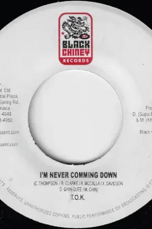 Must Have Im Never Coming Down / The System