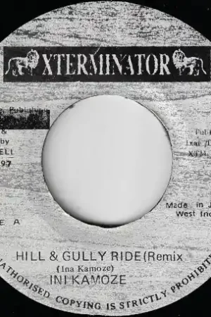 Mega Sale Hill And Gully Ride (Remix) / Ver