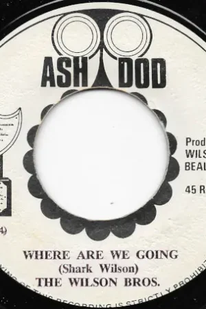 Where Are We Going / Ash Dub Authentic