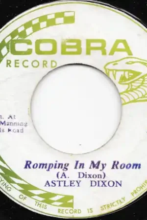 Romping In My Room / Romping Ver Viral