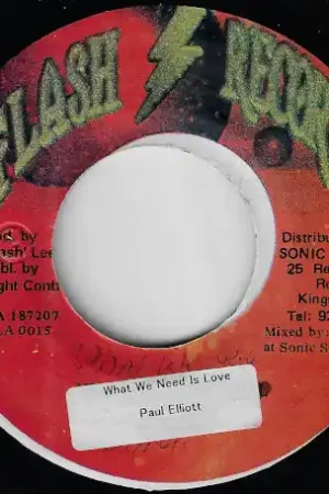 Reduced Price What We Need Is Love / Ver