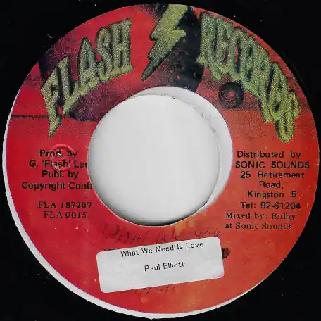 Reduced Price What We Need Is Love / Ver