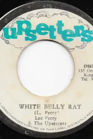 Direct From Manufacturer White Belly Rat / Judas Ver