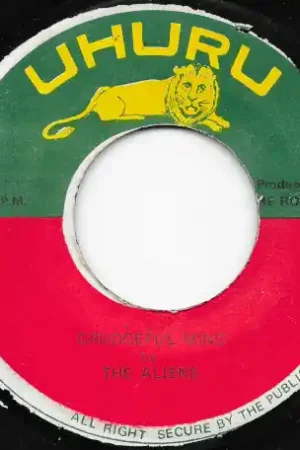 Grudgeful Mind / Kenyatta Secure Checkout