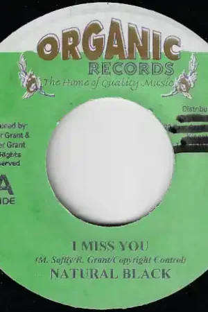 Time-Limited I Miss You / Ver
