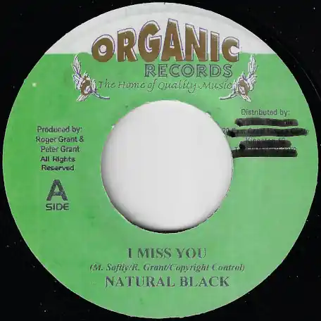 Time-Limited I Miss You / Ver