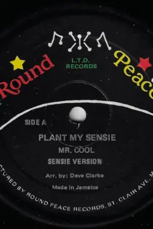Plant My Sensi / Sensi Ver / Dancing Queen / Dancing Dub Cheap