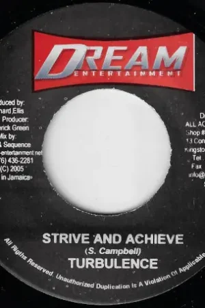 Affordable Strive And Achieve / Ill Try