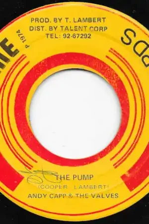 Top Rated The Pump / Water Pump