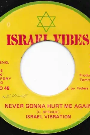 Never Gonna Hurt Me Again / Dub Don’t Miss Out