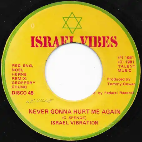 Never Gonna Hurt Me Again / Dub Don’t Miss Out